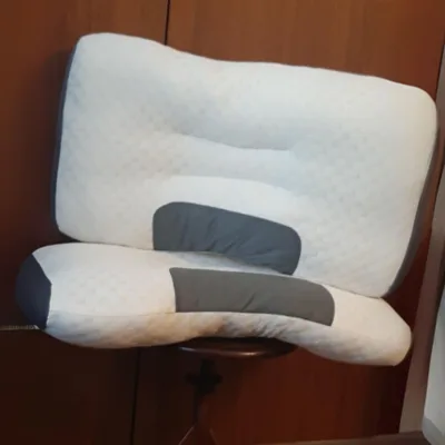 Recenzija Borjana R.