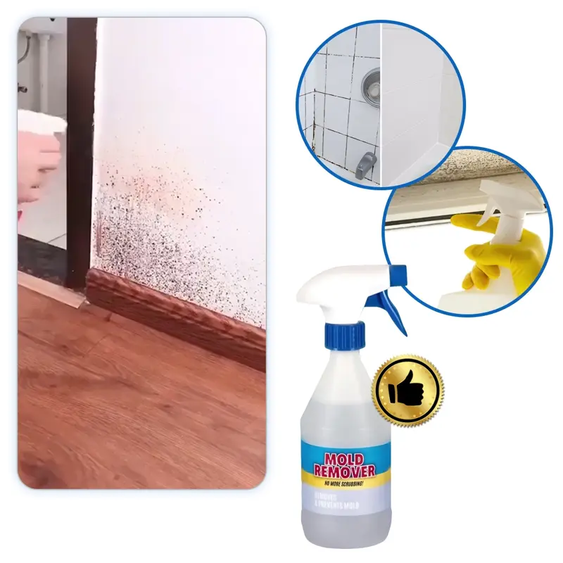 MoldGuard – Sredstvo za uklanjanje plijesni i dugotrajnu zaštitu u spreju (500ml)